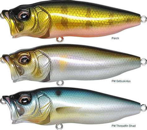 megabass forum|Megabass Popmax .
